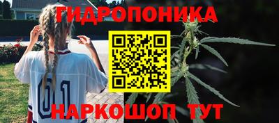 амф Будённовск