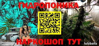 крисы Бузулук