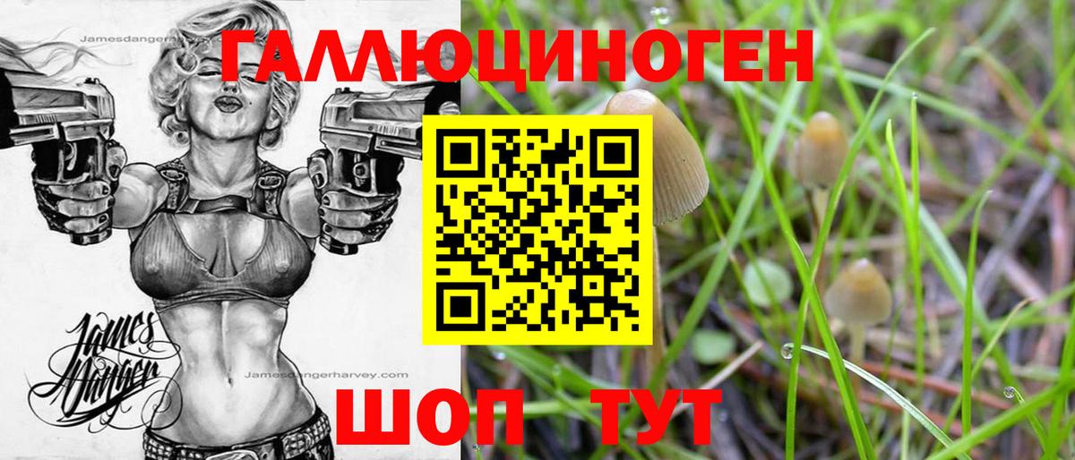 Псилоцибиновые грибы прущие грибы Муром