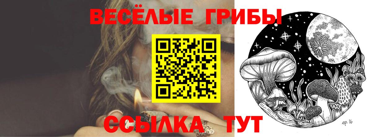 Псилоцибиновые грибы GOLDEN TEACHER  Вход с VPN  Муром 